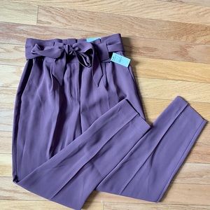 NWT Express Work Pant